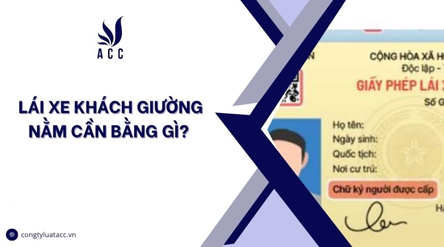 Lái xe khách giường nằm cần bằng gì?