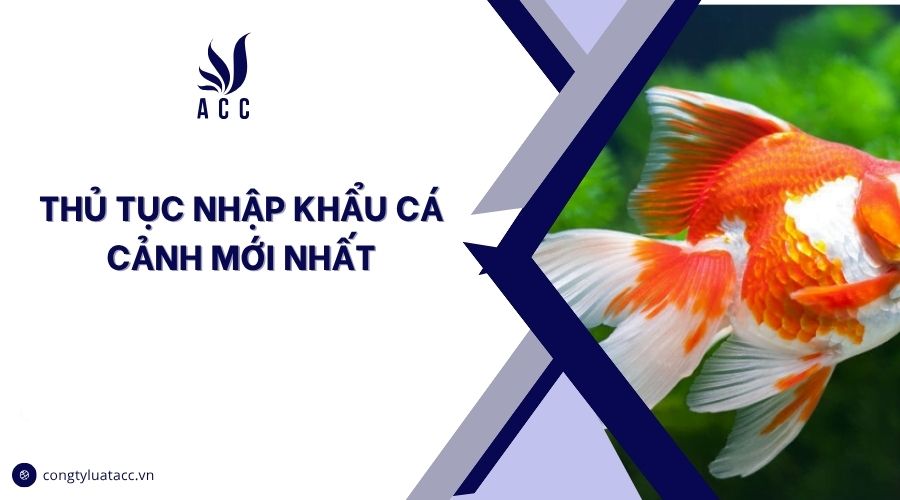 Thủ tục nhập khẩu cá cảnh mới nhất