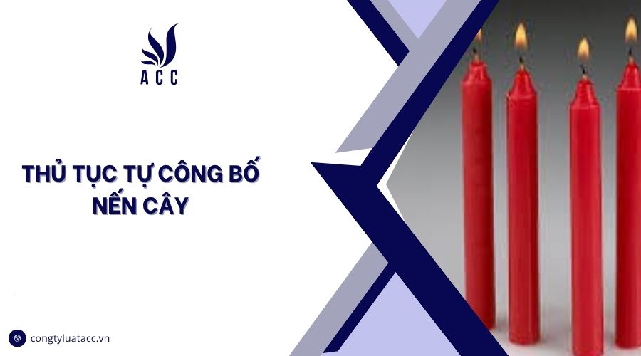 Thủ tục tự công bố nến cây