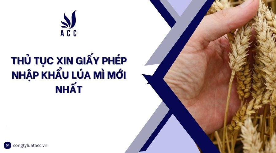 Thủ tục xin giấy phép nhập khẩu lúa mì mới nhất