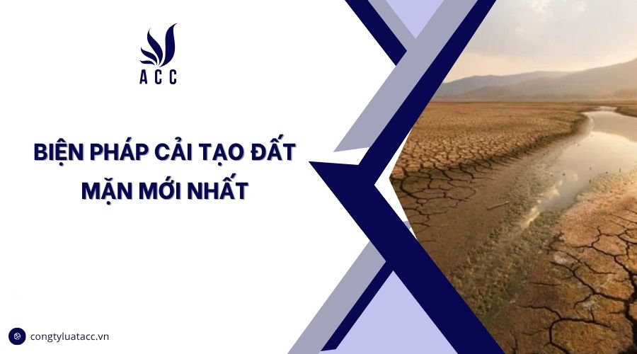 Biện pháp cải tạo đất mặn mới nhất