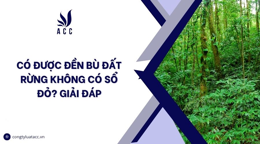 Có được đền bù đất rừng không có sổ đỏ? Giải đáp