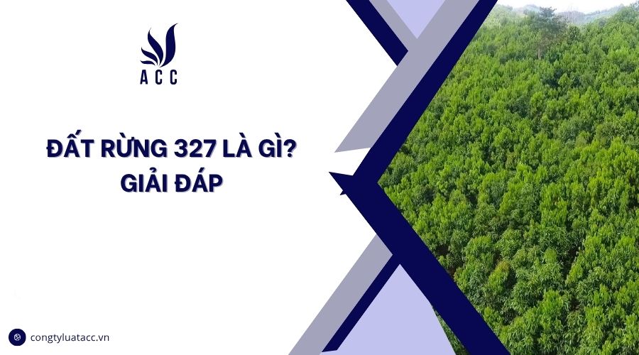 Đất rừng 327 là gì? Giải đáp