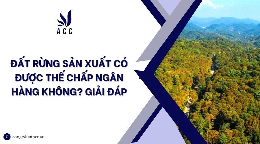 Đất rừng sản xuất có được thế chấp ngân hàng không? Giải đáp