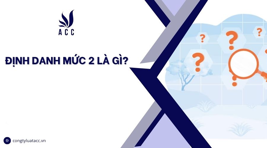 Định danh mức 2 là gì?