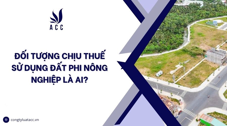 Đối tượng chịu thuế sử dụng đất phi nông nghiệp là ai?