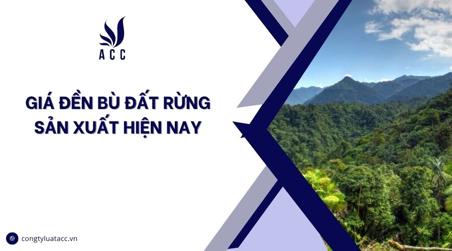 Giá đền bù đất rừng sản xuất hiện nay