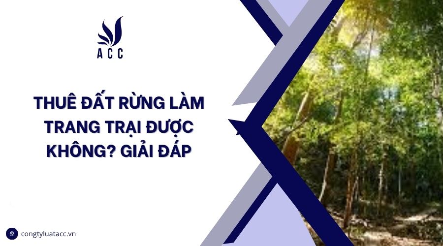 Thuê đất rừng làm trang trại được không? Giải đáp