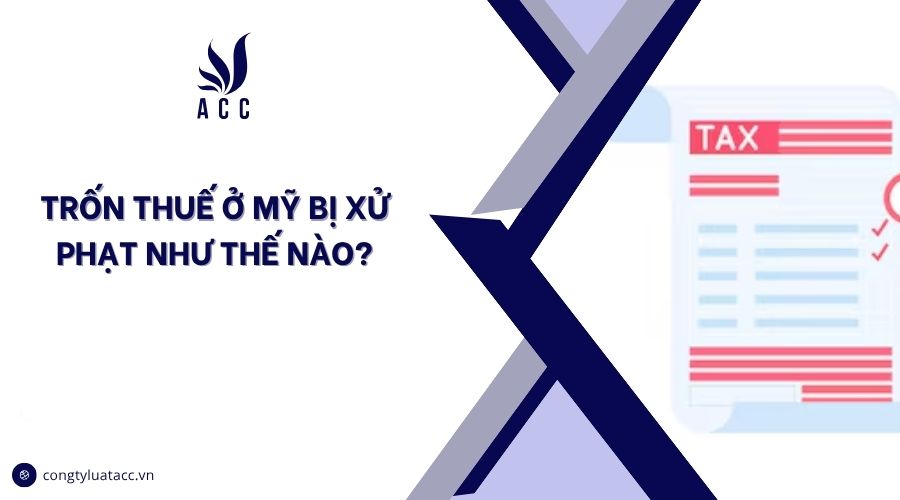 Trốn thuế ở mỹ bị xử phạt như thế nào?