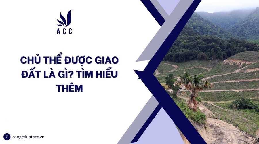 Chủ thể được giao đất là gì? Tìm hiểu thêm
