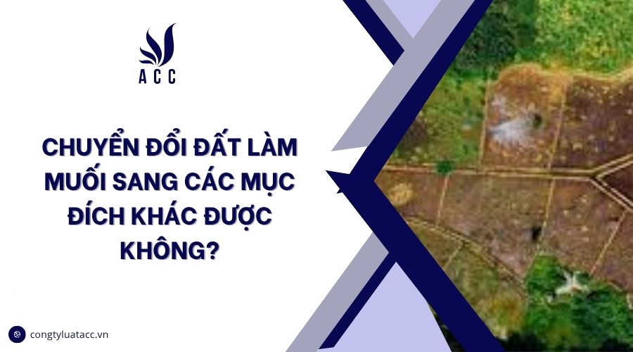 Chuyển đổi đất làm muối sang các mục đích khác được không?