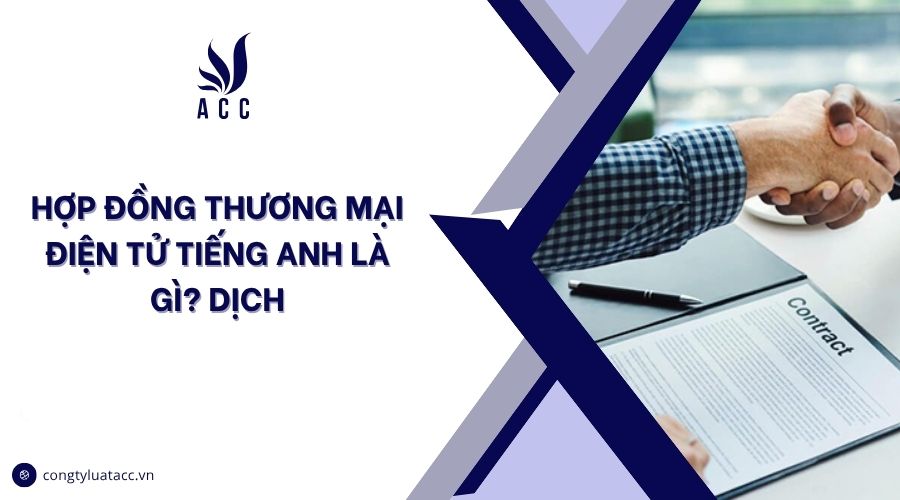 Hợp đồng thương mại điện tử tiếng Anh là gì? Dịch