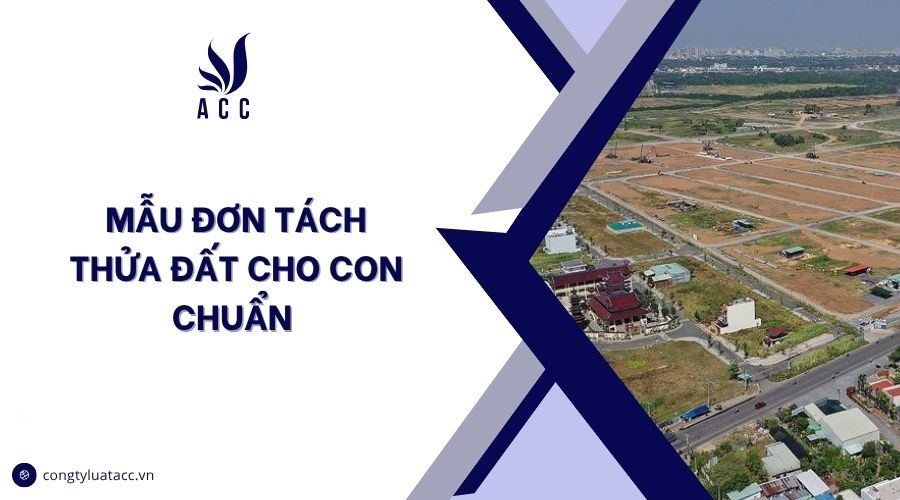 Mẫu đơn tách thửa đất cho con chuẩn