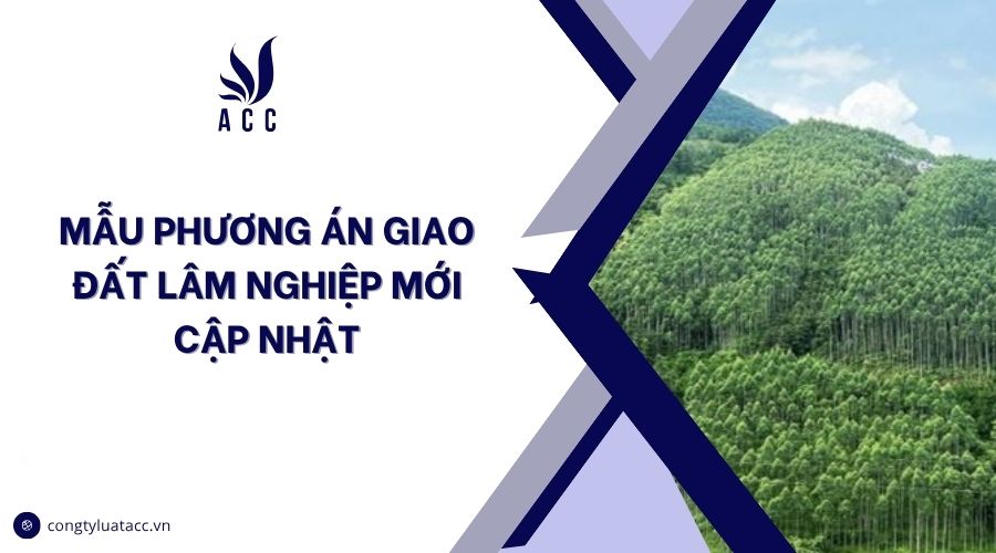 Mẫu phương án giao đất lâm nghiệp mới cập nhật