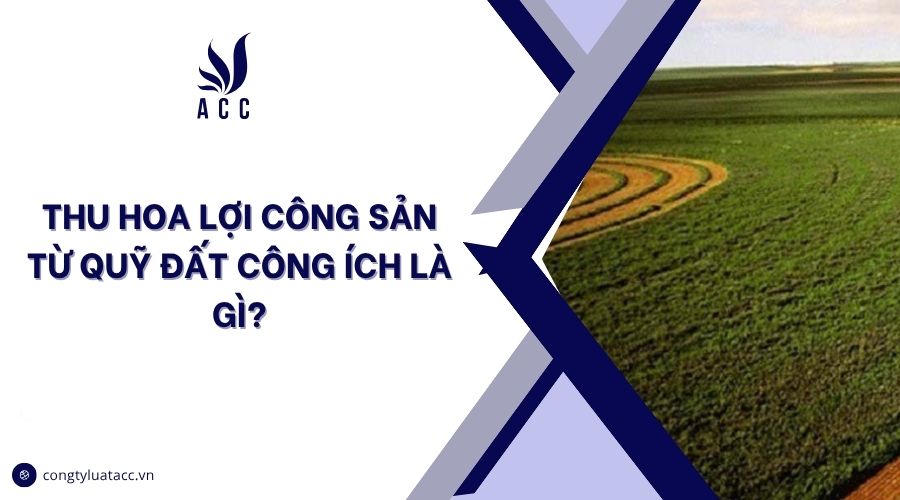 Thu hoa lợi công sản từ quỹ đất công ích là gì?
