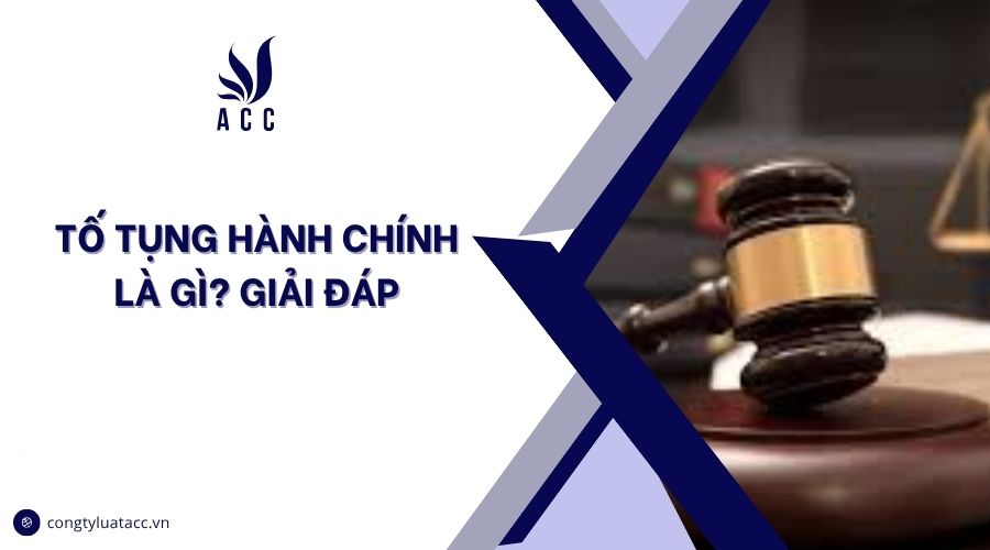 Tố tụng hành chính là gì? Giải đáp