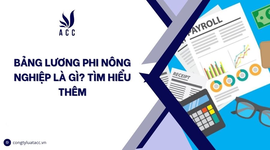 Truy lĩnh lương là gì? Thông tin chi tiết
