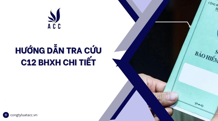 Hướng dẫn tra cứu C12 BHXH chi tiết