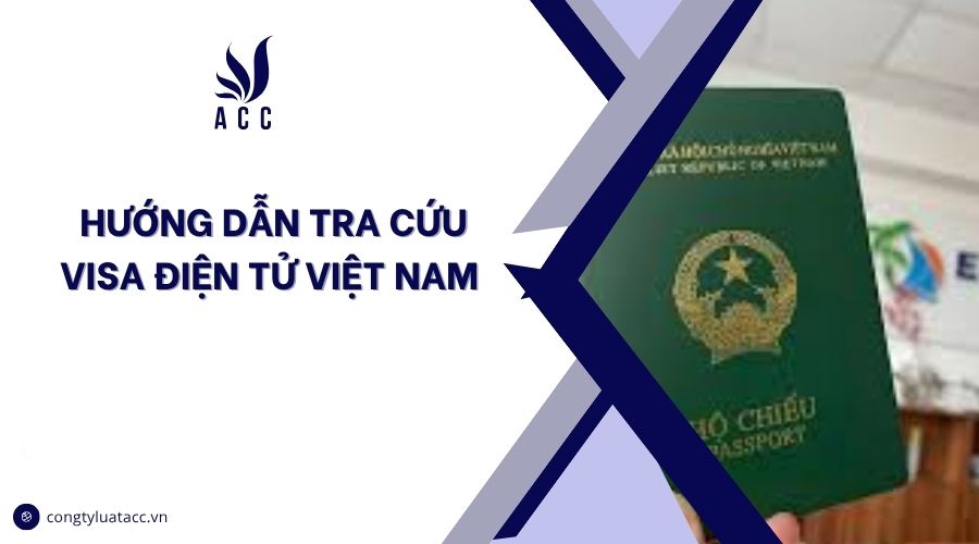 Hướng dẫn tra cứu visa điện tử Việt Nam
