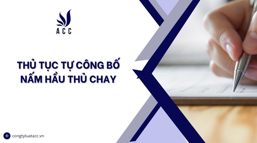 Thủ tục tự công bố chả nấm chay