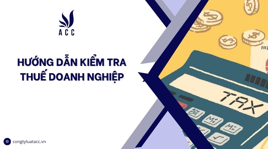 Hướng dẫn kiểm tra thuế doanh nghiệp
