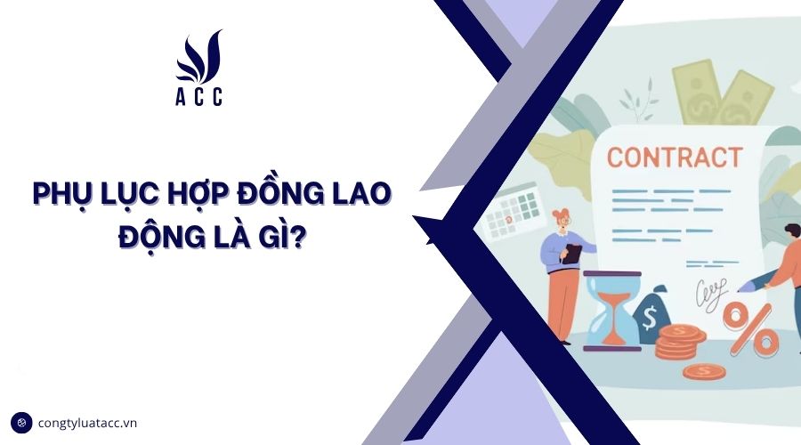 Phụ lục hợp đồng lao động là gì?