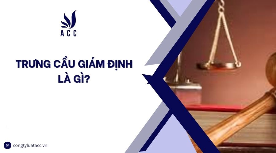 Trưng cầu giám định là gì?