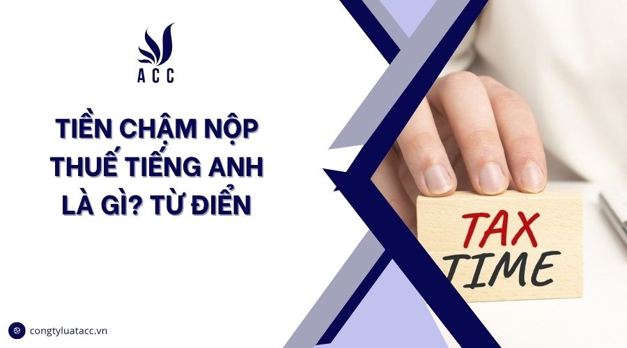 Tiền chậm nộp thuế tiếng Anh là gì? Từ điển