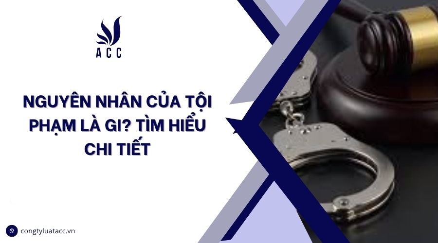 Nguyên nhân của tội phạm là gi? Tìm hiểu chi tiết