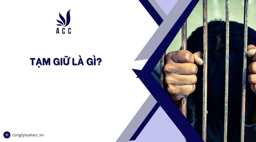 Tạm giữ là gì?