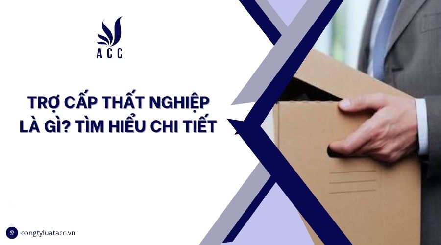 Trợ cấp thất nghiệp là gì? Tìm hiểu chi tiết